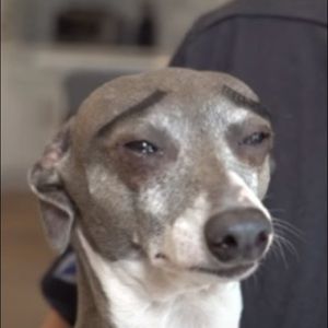 Meet your Posher, Amdrea